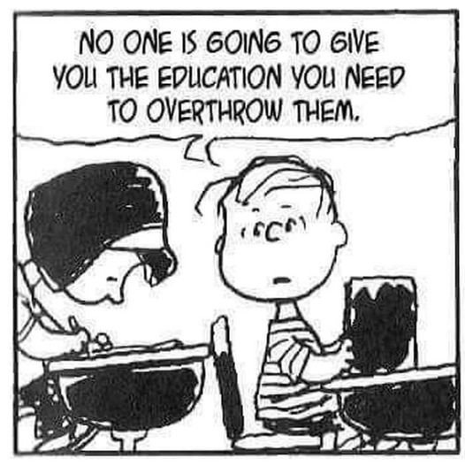 education is corrupt meme